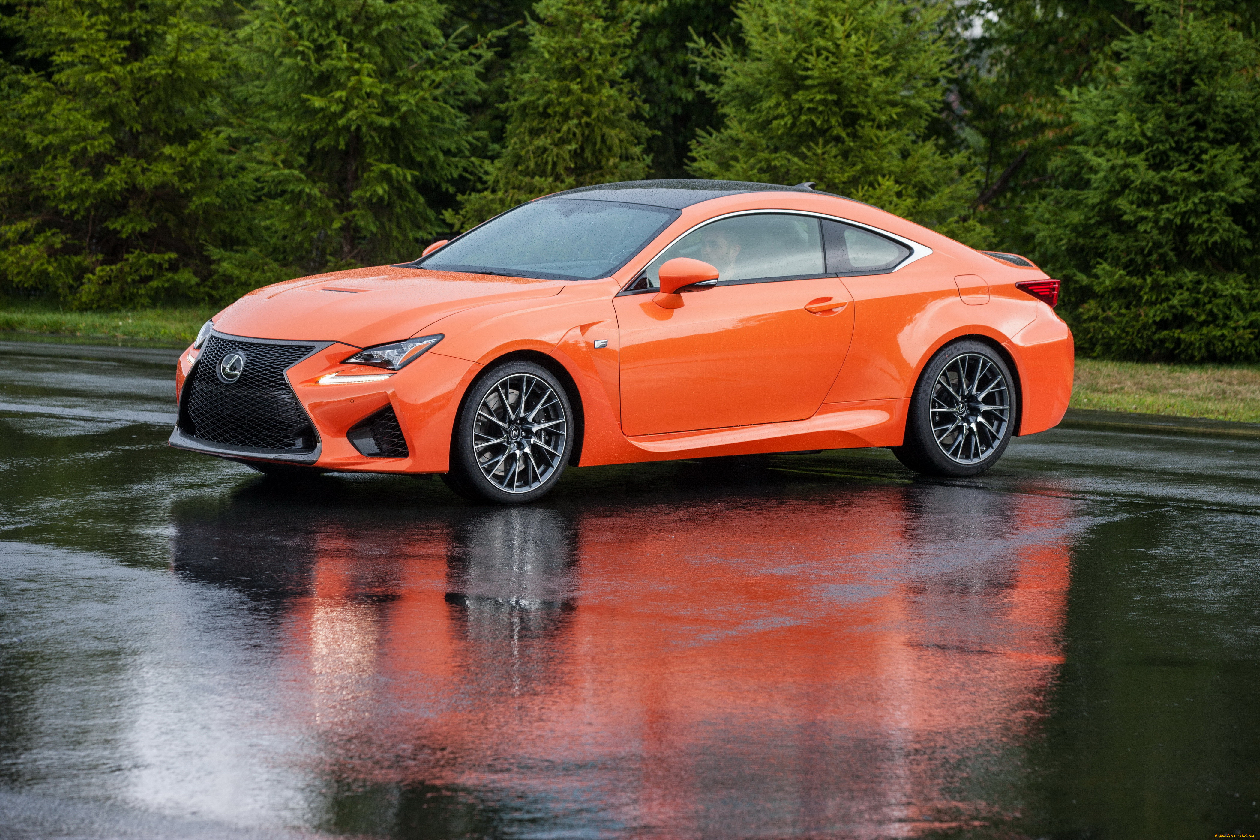 2015 lexus rc f, , lexus, , 